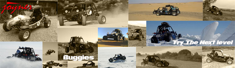 Joyner buggies - Φωτογραφiες